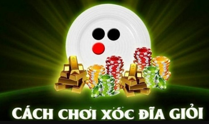 Lưu ý khi tham gia chơi cá cược tại web game
