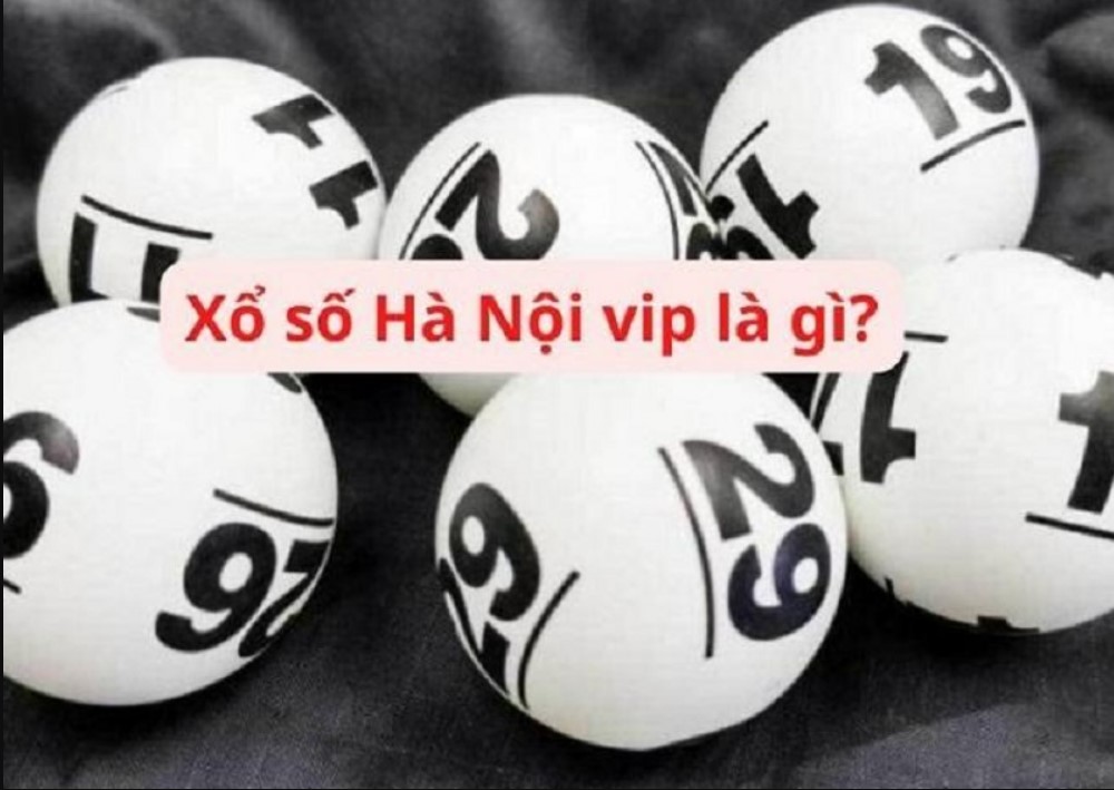 Hà Nội Vip Nohu